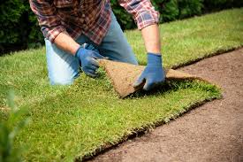 Mowing the grass helps the grass come in thicker and stay thicker. Does Cutting New Grass Help It To Grow How To Do It Right
