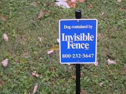 Actually, after three years it is the first time i had to change the battery. Protect Your Dog At The Lake Home With An Invisible Fence