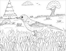 Bob the builder coloring pages. Printable Robin Coloring Page For Adult Coloringbay