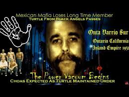 Ronald Baisa Turtle From Ontario Black Angels Passes