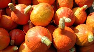 Den einen tag sollte es kürbisbrei geben (tristan mochte den immer sehr gerne). Hokkaido Kurbis Infos Rezepte Essen Und Trinken