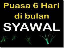 Adapun untuk lafadz niat puasa syawal akan kami share secara lengkap dalam bahasa arab, latin beserta terjemahannya. Home