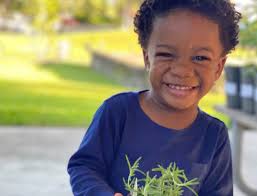 TD Bank Garden Giveaway