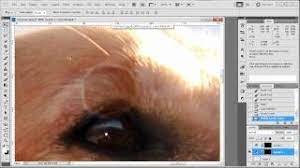 How to use lightroom spot removal. Fixing Sun Spots On A Detailed Photo Lightroom Queen Forums