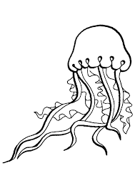 Malvorlagen mit quallen in ornamnets in vektorillustration. Qualle Ausmalbilder Malvorlagen 100 Kostenlos