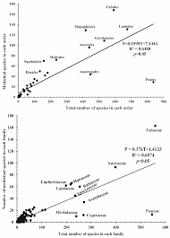 Image result for Ficus scassellatii