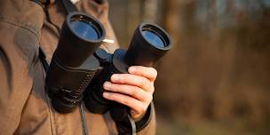 Guided Bird Walk: 2026 Loons & Lakes Festival