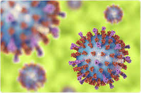 We did not find results for: El Virus Del Frio Comun Podia Infectar El Feto Via Placenta