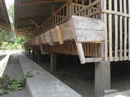 Desain kandang kambing modern, ukuran kandang kambing, bahan yang bagus, kebersihan,ukuran, tempat makan kambing. 23 Konsep Baru Model Lantai Kandang Kambing