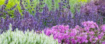 For instance, the rose is going to need a lot more fertilizer than is the palm or. Fertilizer Labels What N P K Numbers Mean