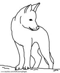 At franke, we're not just in the business of selling coffee machines. 31 Australia Ideas Australian Animals Animal Coloring Pages Coloring Pages