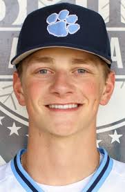 Star Tribune's All-Metro baseball teams: Eight first-teamers going Division  I; one too young to know