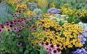 Energized plant matter has formed in the underground.. 15 Tall Perennial Flowers To Add Vertical Interest To Your Garden