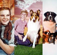 Check it out the amazing collection. 6 Famous Movie Star Dogs Beloved Canine Actors