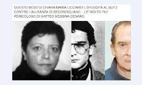 «mi chiamo licciardi maria, sono casalinga ma ho sempre lavorato, ho fatto la calzolaia. Blitz Contro L Alleanza L Attacco Dell Ex Boss Misso Licciardi Piu Pericolosa Di Messina Denaro