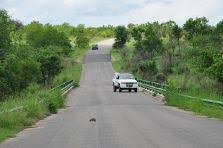 Kruger National Park Distances And Travel Times Kruger