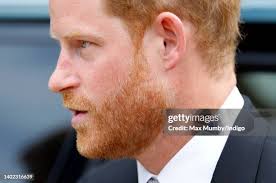 1,804 Harry Beard Stock Photos, High-Res Pictures, and Images