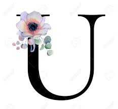 Whether you're approaching donations for an individual cause or for your organization, the process of writing a fundraising letter is not a small task. Floral Watercolor Alphabet Monogram Initial Letter U Design With Hand Drawn Peony And Anemone Flower And Black Panther For Wedding Invitation Cards Logos Stock Photo Picture And Royalty Free Image Image 101737001