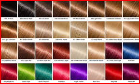 Ion Hair Color Chart Highlights Essentials Including Dye
