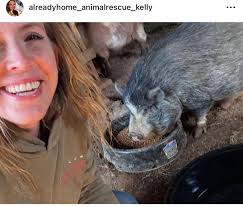 Still looking for a small-medium sized pup or young dog in Pottsville area  for support animal. I live in apartment building.