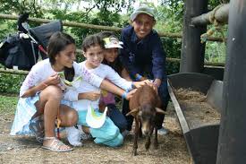 Precisa y detallada previsión del tiempo en panaca. Campamentos Panaca En Semana Mayor La Cronica Del Quindio Noticias Quindio Colombia Y El Mundo