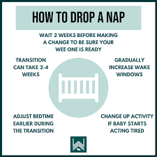 Steps to Drop a Nap - Well Rested Wee Ones
