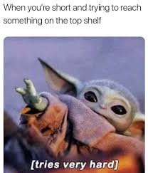 Who wants a regular old baby when you could have a baby yoda to. 32 Baby Yoda Memes Tumblr Factory Memes