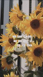 Direct , indirect , look , looking , relativity , sun , sunflower , vision. Freetoedit Aesthetic 291173151029201 By Lakenjewel 24