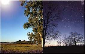 Dan sungguh, kami telah menciptakaan manusia dari saripati (berasal) dari tanah(12). Hikmah Penciptaan Siang Dan Malam Dalam Alquran Bincang Syariah