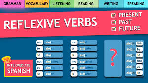 Image result for Vepris reflexa