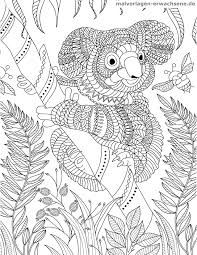 Malvorlage Koala Fur Erwachsene Kostenlose Ausmalbilder