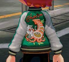 Satin Jackets Jackets Sweaters