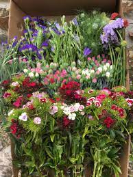 Check spelling or type a new query. Party Or Diy Wedding Flowers Cornish Blooms