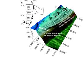 A The North End Of Known Holocene Reef Framework In Palm