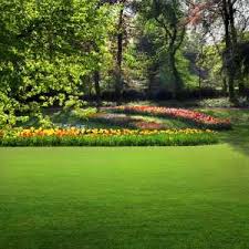 Grass naturally wants to grow up thick and vibrantly green. Removing Controlling Lawn Moss Improve Your Lawn