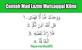 Jika sebelumnya saya posting artikel 21 hukum tajwid yang terkandung dalam surah an nas dan contoh mad jaiz munfasil beserta surat dan ayatnya al baqarah yasin dan al imran maka untuk saat ini dengan pokok bahasan hukum mad saya akan memberikan contoh bacaan mad lazim mutsaqqal kilmi yang terdapat dalam al quran. Mad Lazim Mukhaffaf Kilmi Contohnya