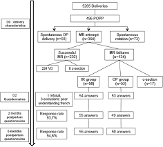 Image result for Manual Rotation in Occipitoposterior Presentation