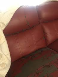 Maybe you would like to learn more about one of these? Wilcox Furniture 5858 S Padre Island Dr Corpus Christi Tx Home Improvements Mapquest