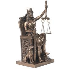 Image result for Justicia incana