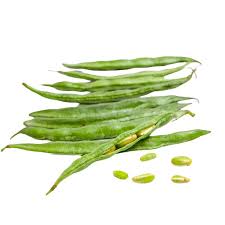 Image result for Dolichos