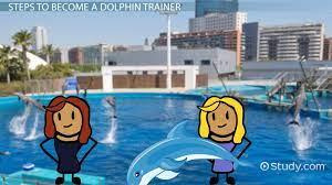The dolphin trainer salary can range from $36,000 to $78,000 annually, with an average of $55,000. How To Become A Dolphin Trainer Step By Step Career Guide