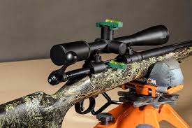 Scope Mounting Basics