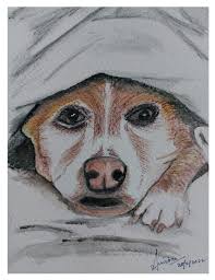 Just finished this portrait of a friend's pointer to cheer her up as she is  having a rough time. Watercolour paints and pencils.