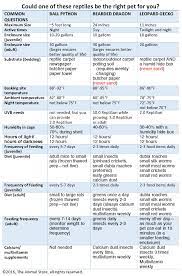 Baby bearded dragon food chart. Bearded Dragon Food Chart Bearded Dragon Bearded Dragon Food Baby Bearded Dragon