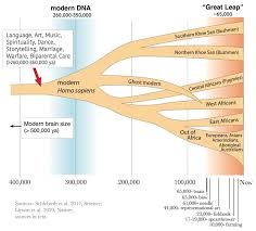 During this time, almost 20,000 people used the elevators every day. When Did We Become Fully Human What Fossils And Dna Tell Us About The Evolution Of Modern Intelligence