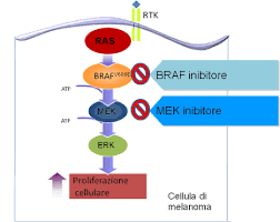 Image result for MEK Inhibitor