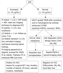 Characteristics Of Common Solid Liver Lesions And