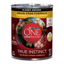 pin on wet dog food