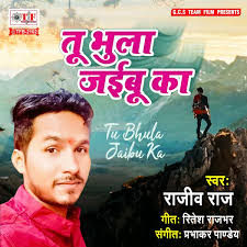 Rajiv Raj: albums, songs, concerts