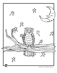 Popular upcoming coloring page suggestions: Pictures Of Nocturnal Animals Coloring Home